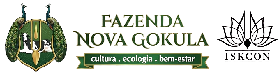 Nova Gokula